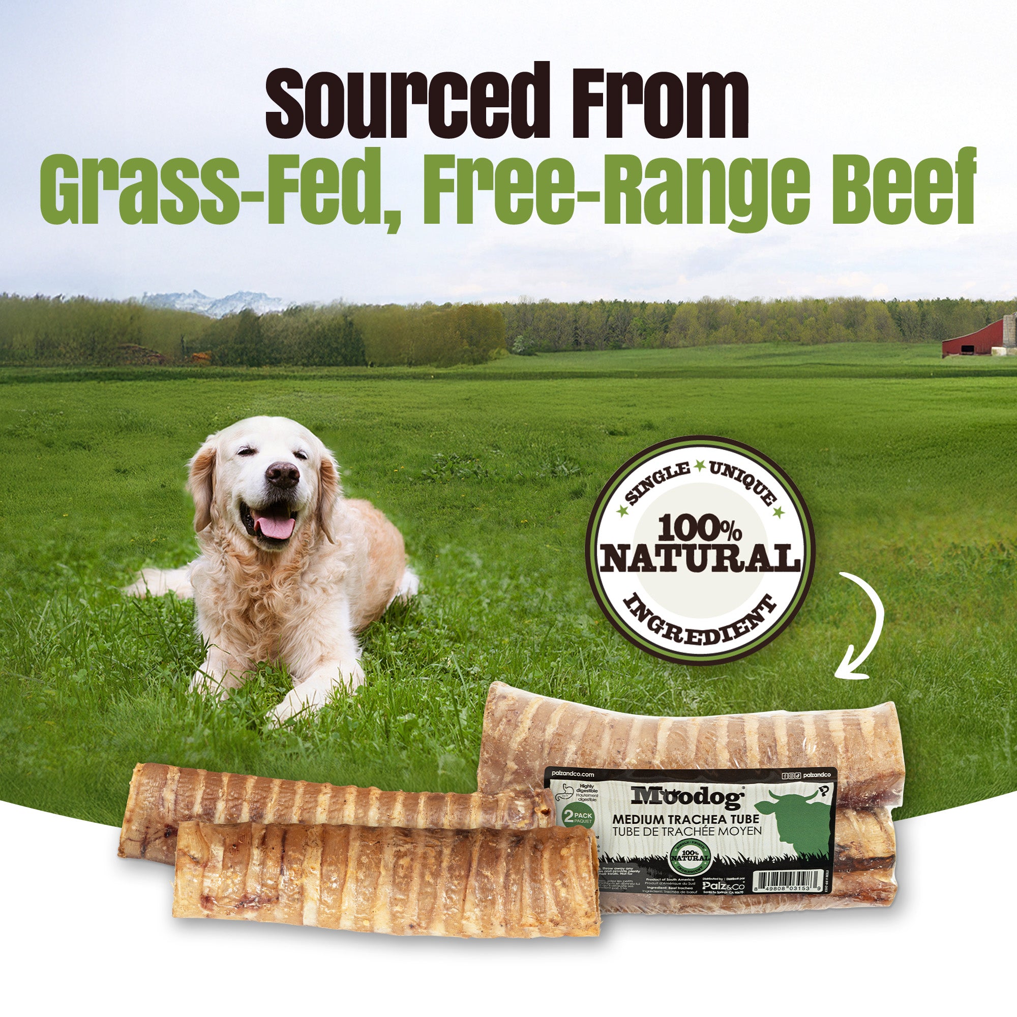 Moodog Beef Trachea Tubes - Pack of 2