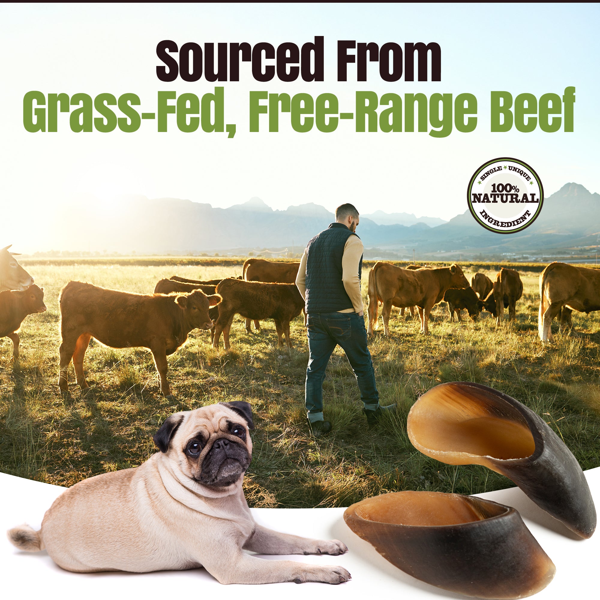 Moodog Beef Cow Hooves - Pack of 30