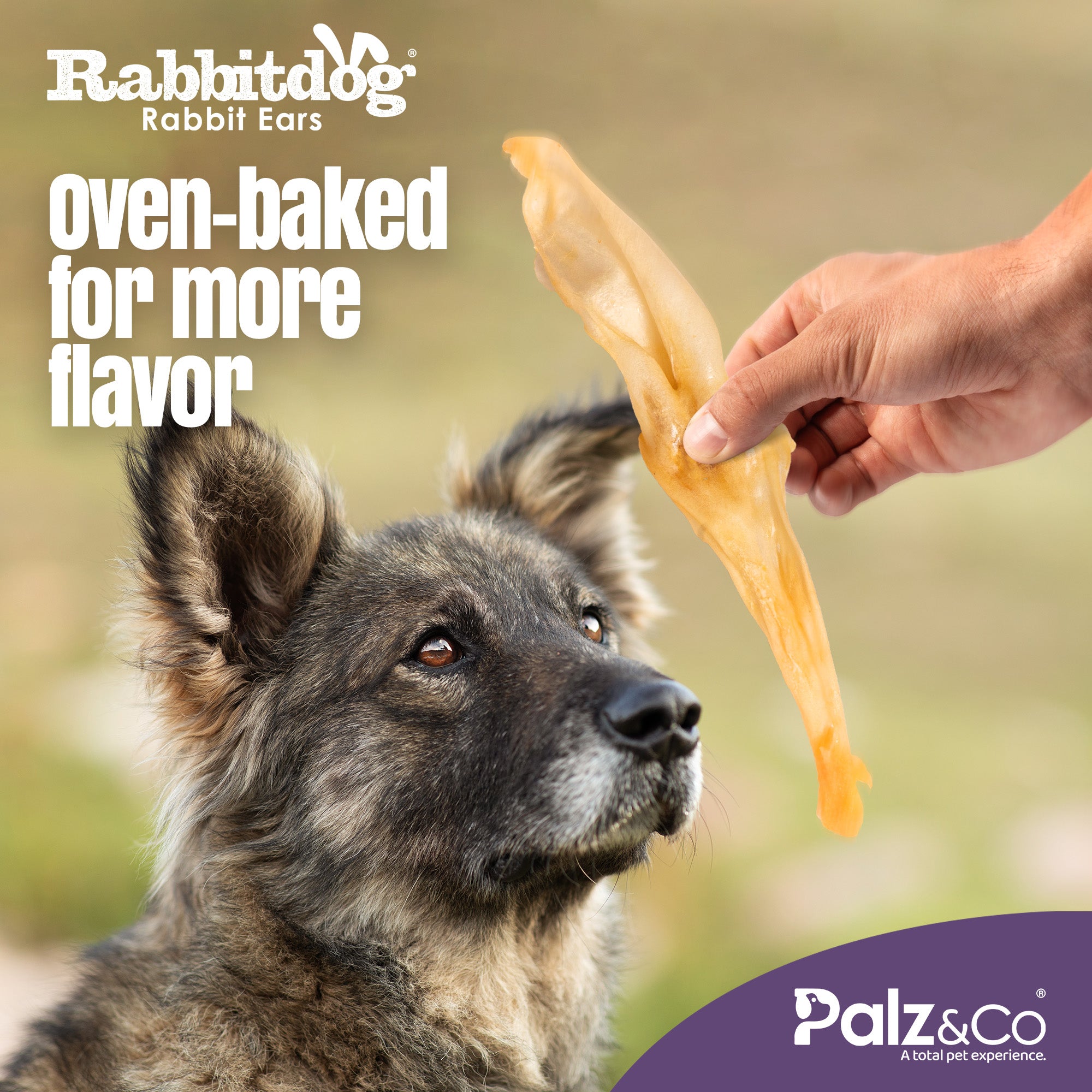 Rabbitdog Rabbit Ears - 2.2 lbs (1kg)