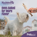 Rabbitdog Rabbit Ears (With Fur) - Pack of 10, 15, & 25