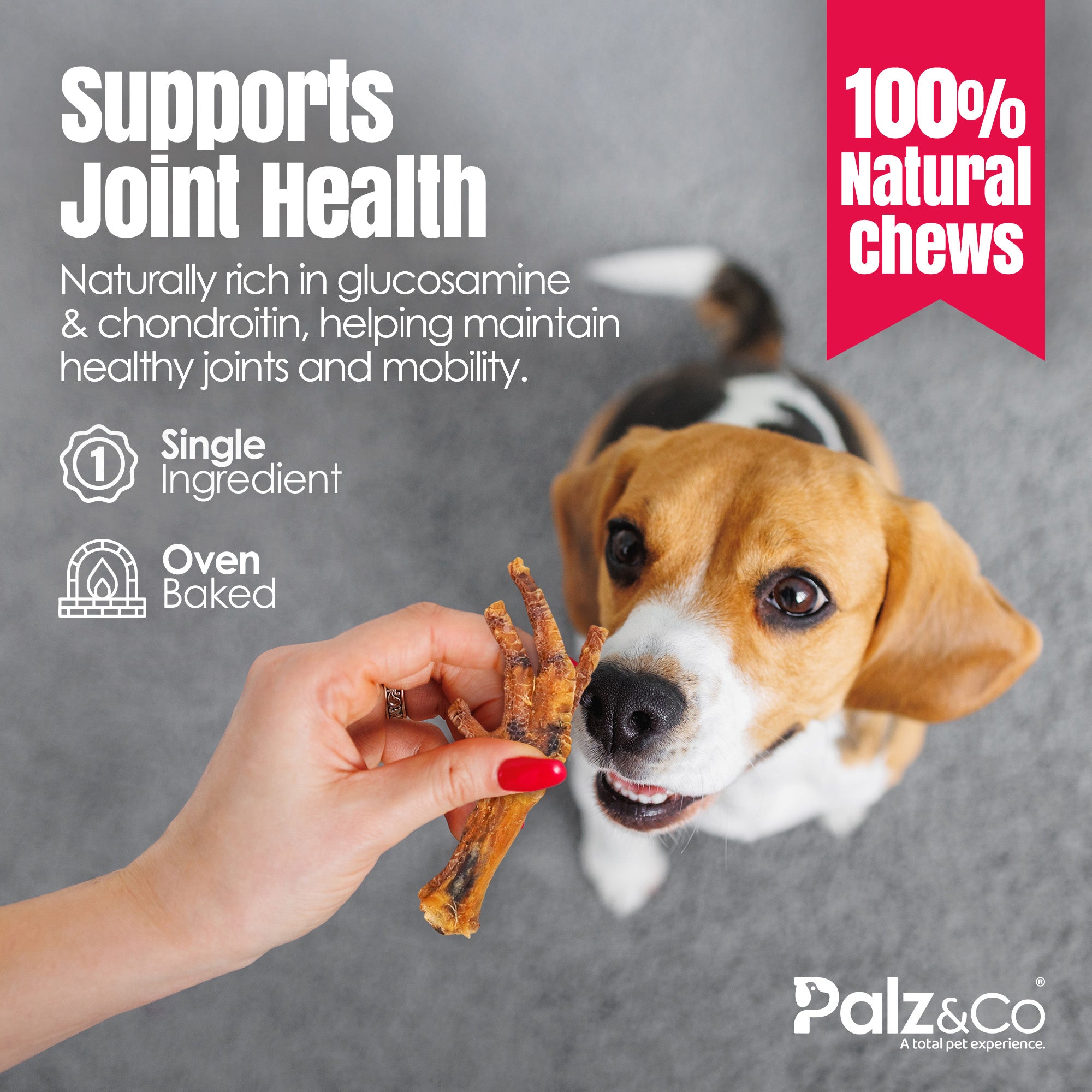 Birddog Chicken Feet Dog Treats - Pack of 10 & 35 Secondary image
