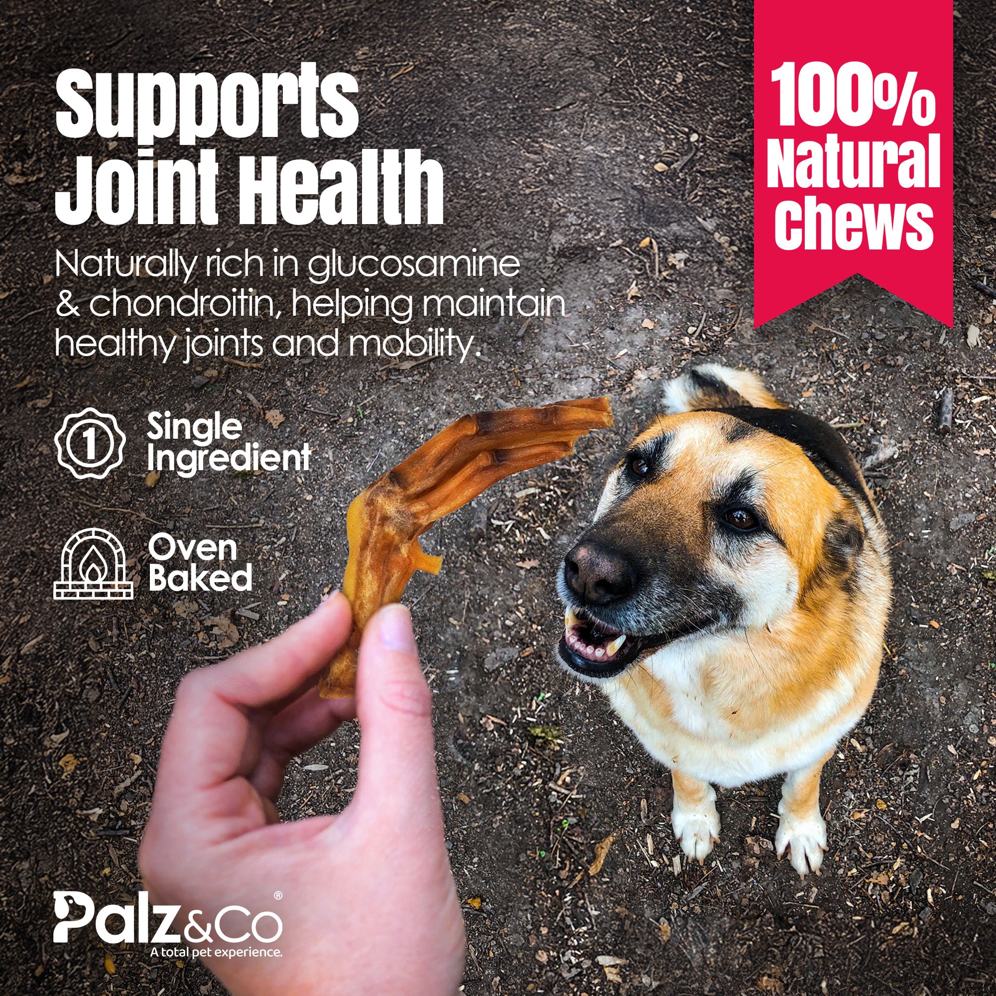 Birddog Duck Feet Chews (no nails) - Pack of 10 & 35 Secondary image