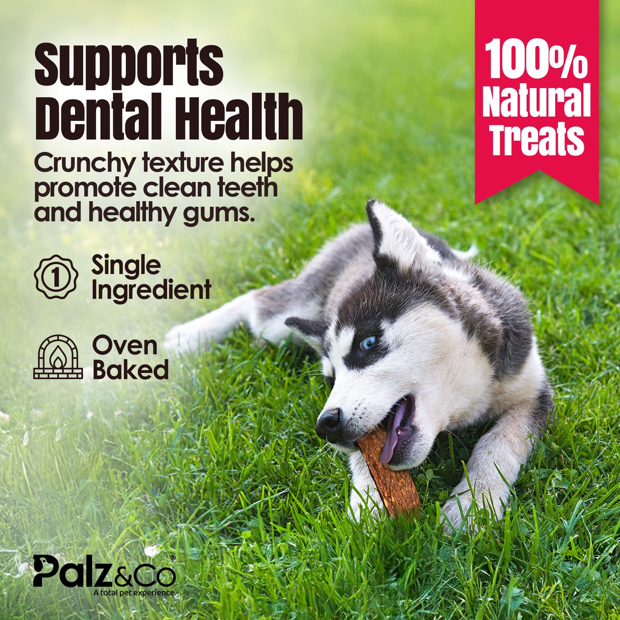 Birddog Duck Jerky Chews - Pack of 10 Secondary image