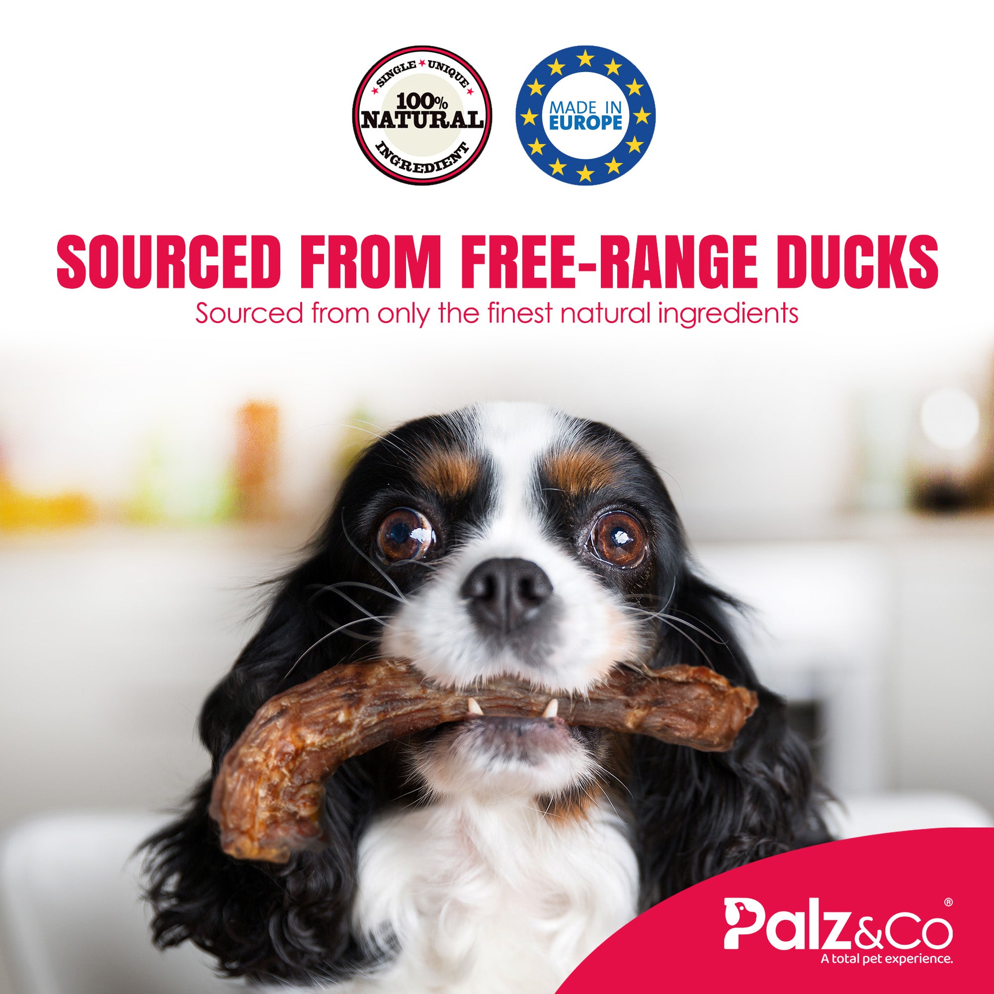 Birddog Duck Necks - 3.5 oz (100g) Secondary image