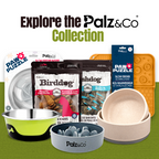 EcoBowl Slow Feeder Dog Bowls - 28oz & 48oz