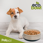 EcoBowls with Lid