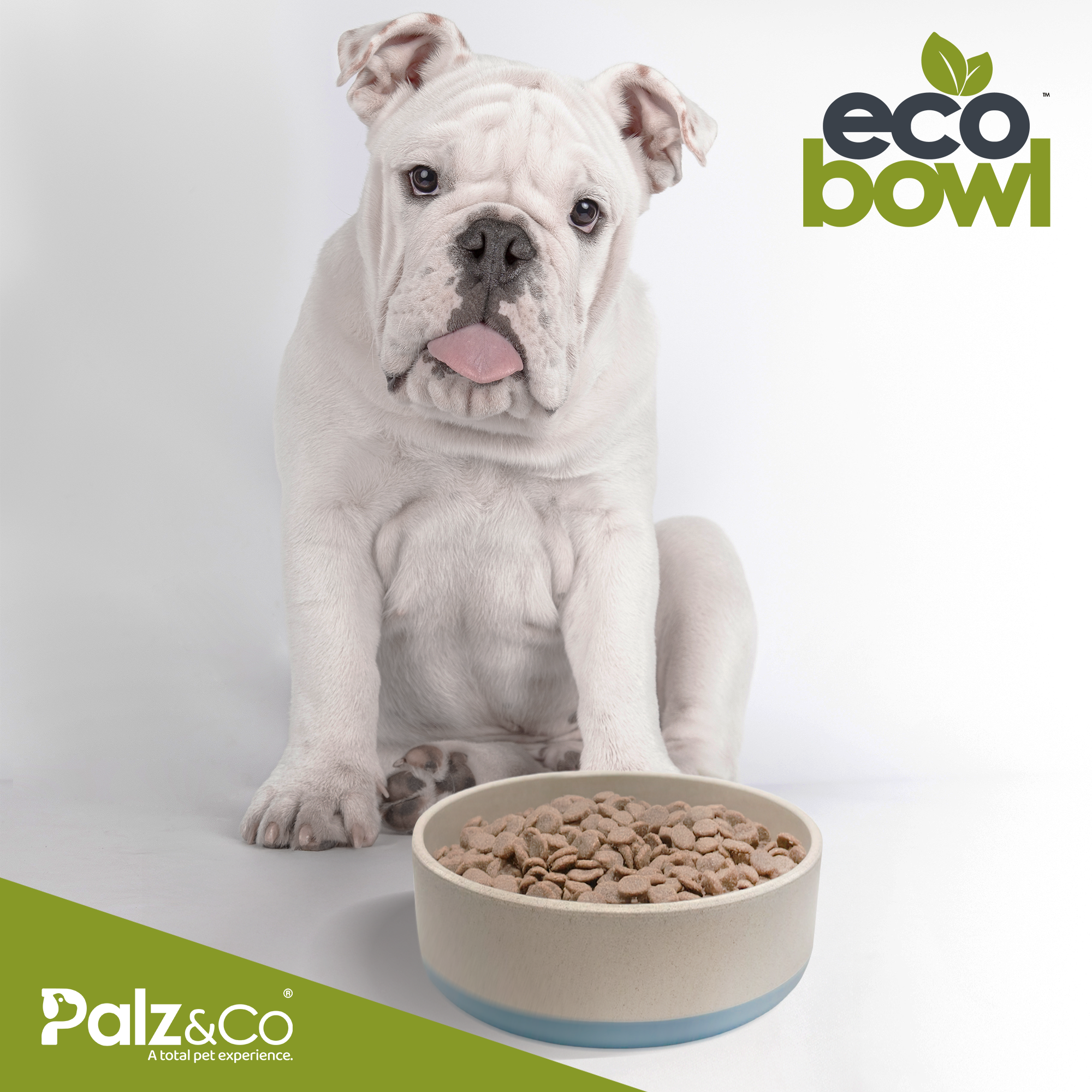 EcoBowls with Lid
