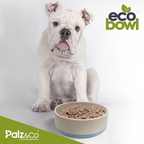 EcoBowls with Lid