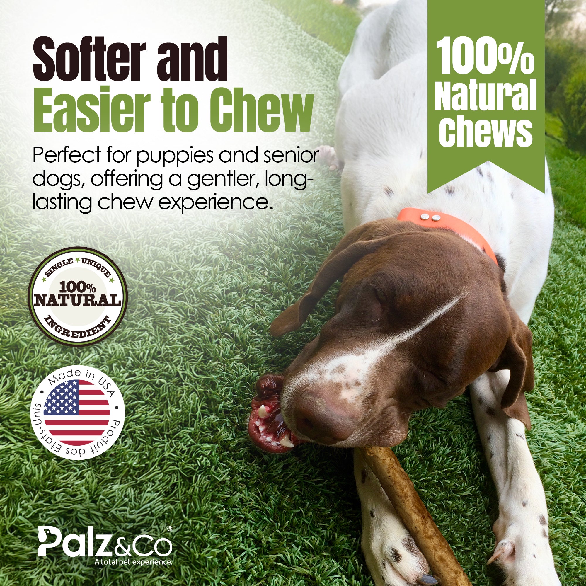 Moodog Easy-Chew Corium Collagen Dog Treat 7" & 10" (Beef Flavor Roll)