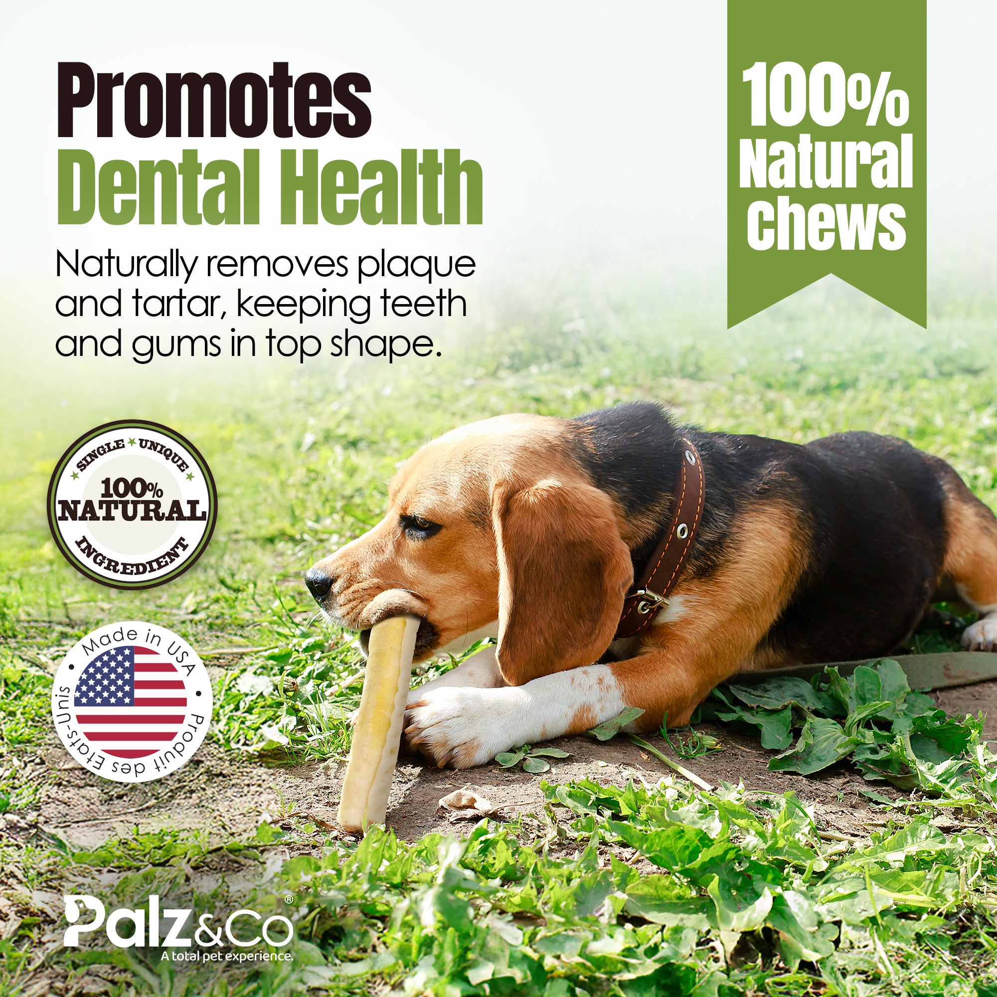 Moodog Beef Corium Collagen Roll Dog Treats