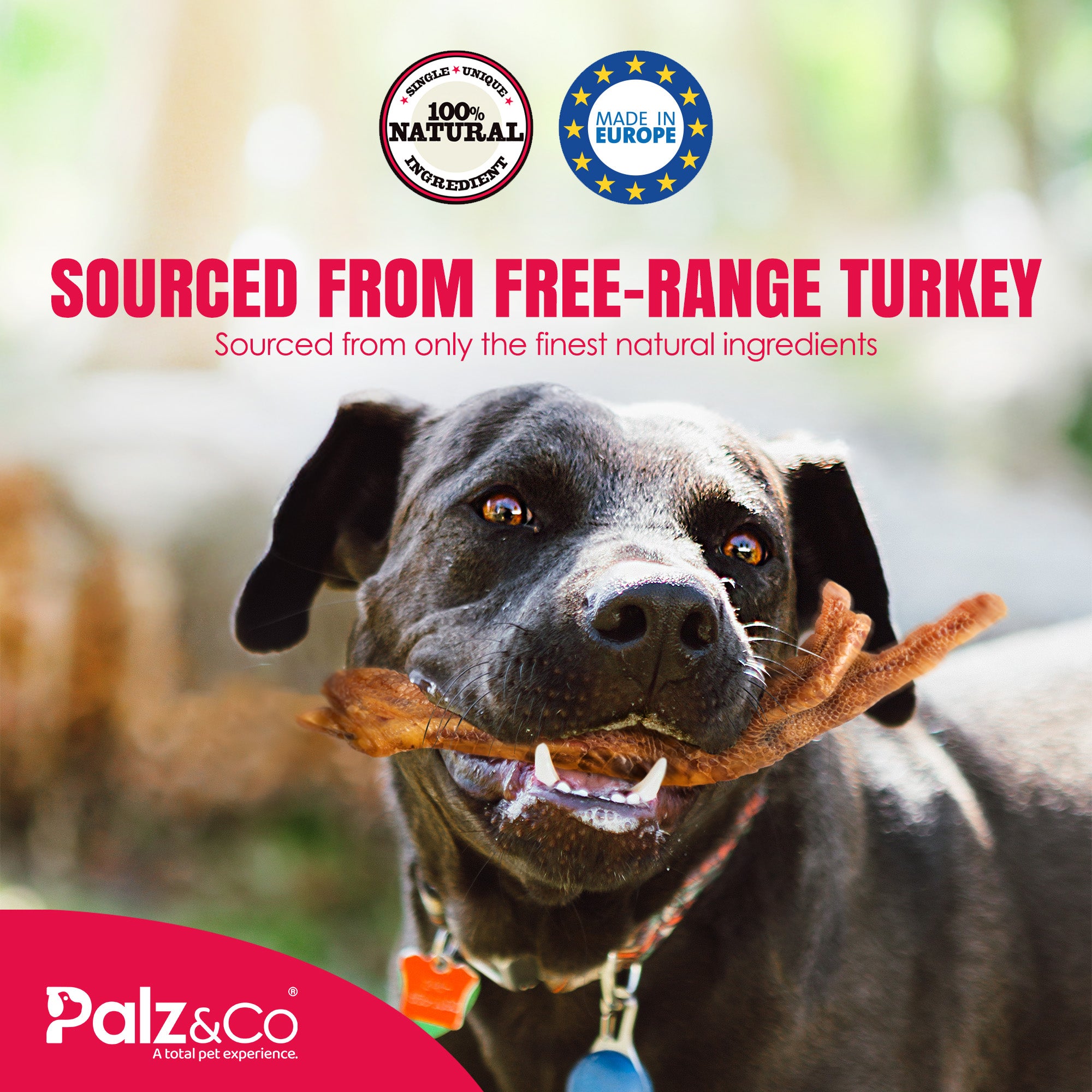 Birddog Turkey Feet - Pack of 4