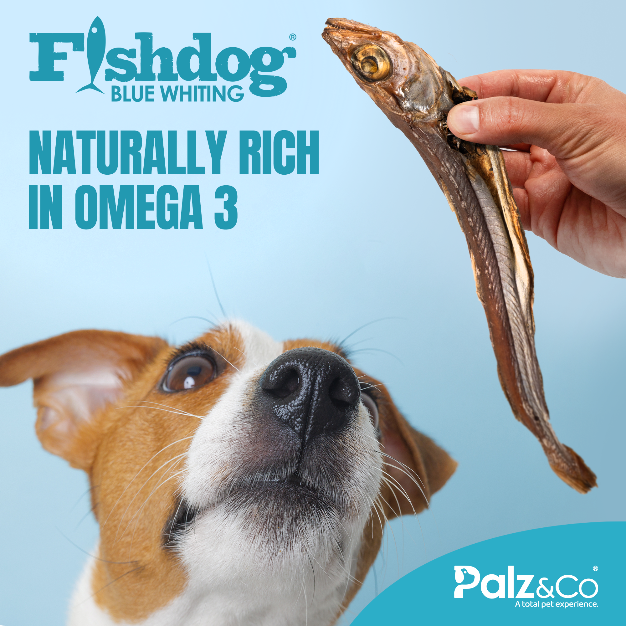 Fishdog Blue Whiting - 2.5 oz (70g) Secondary image