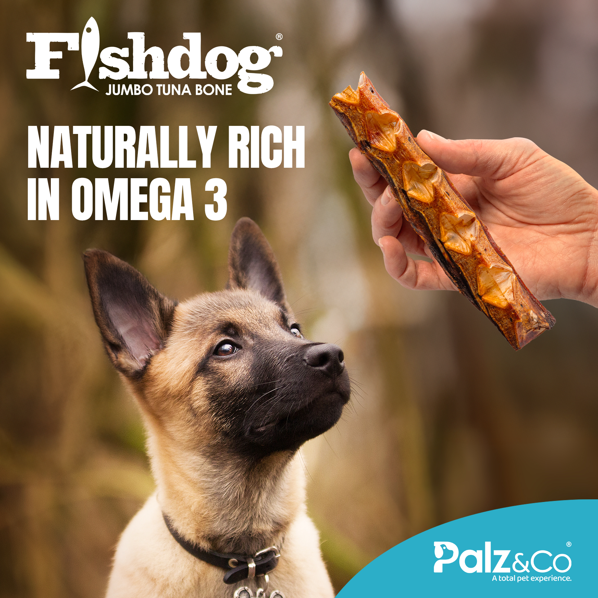 Fishdog Tuna Bones - 3.5 oz (100g) - Mini & Jumbo