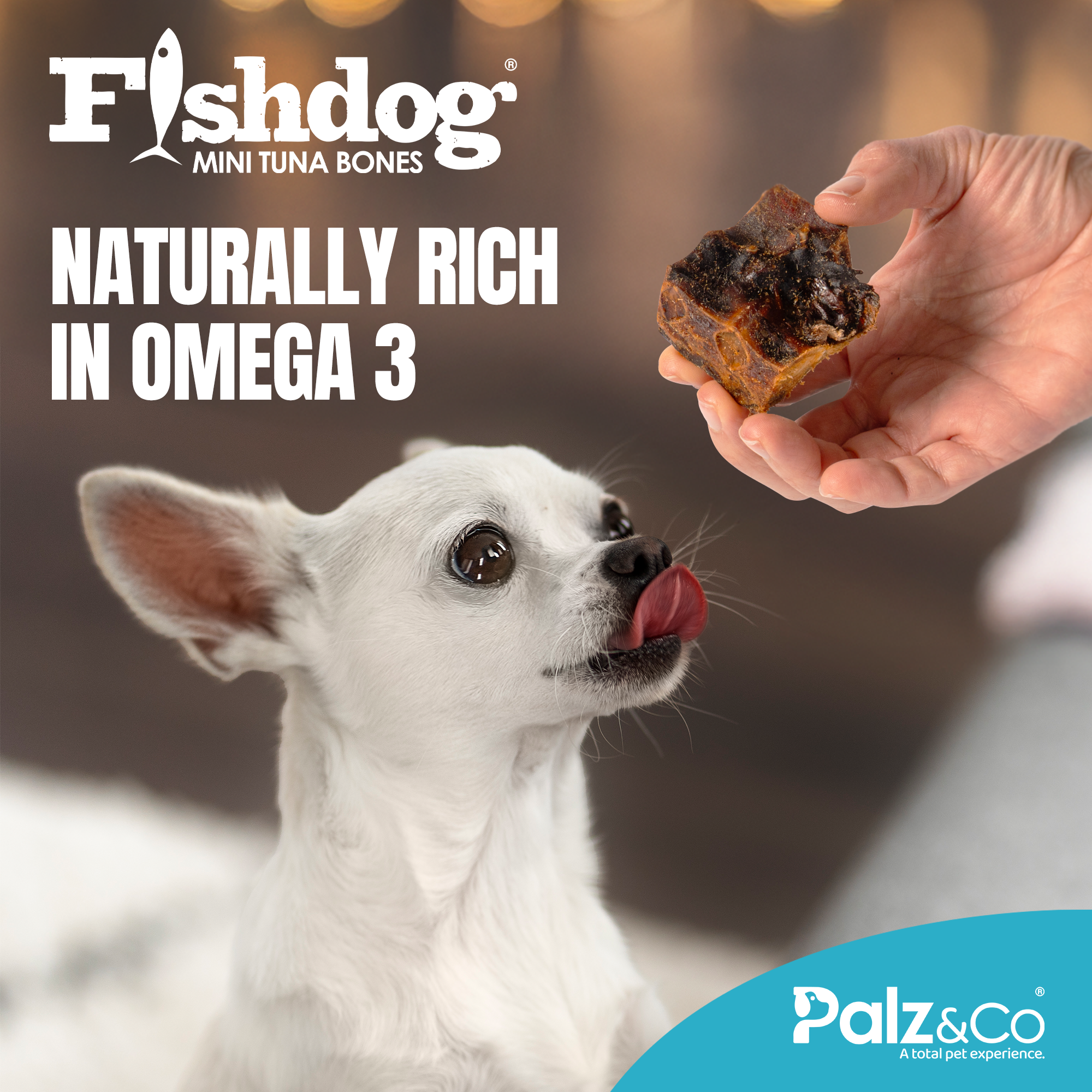 Fishdog Tuna Bones - 3.5 oz (100g) - Mini & Jumbo Secondary image