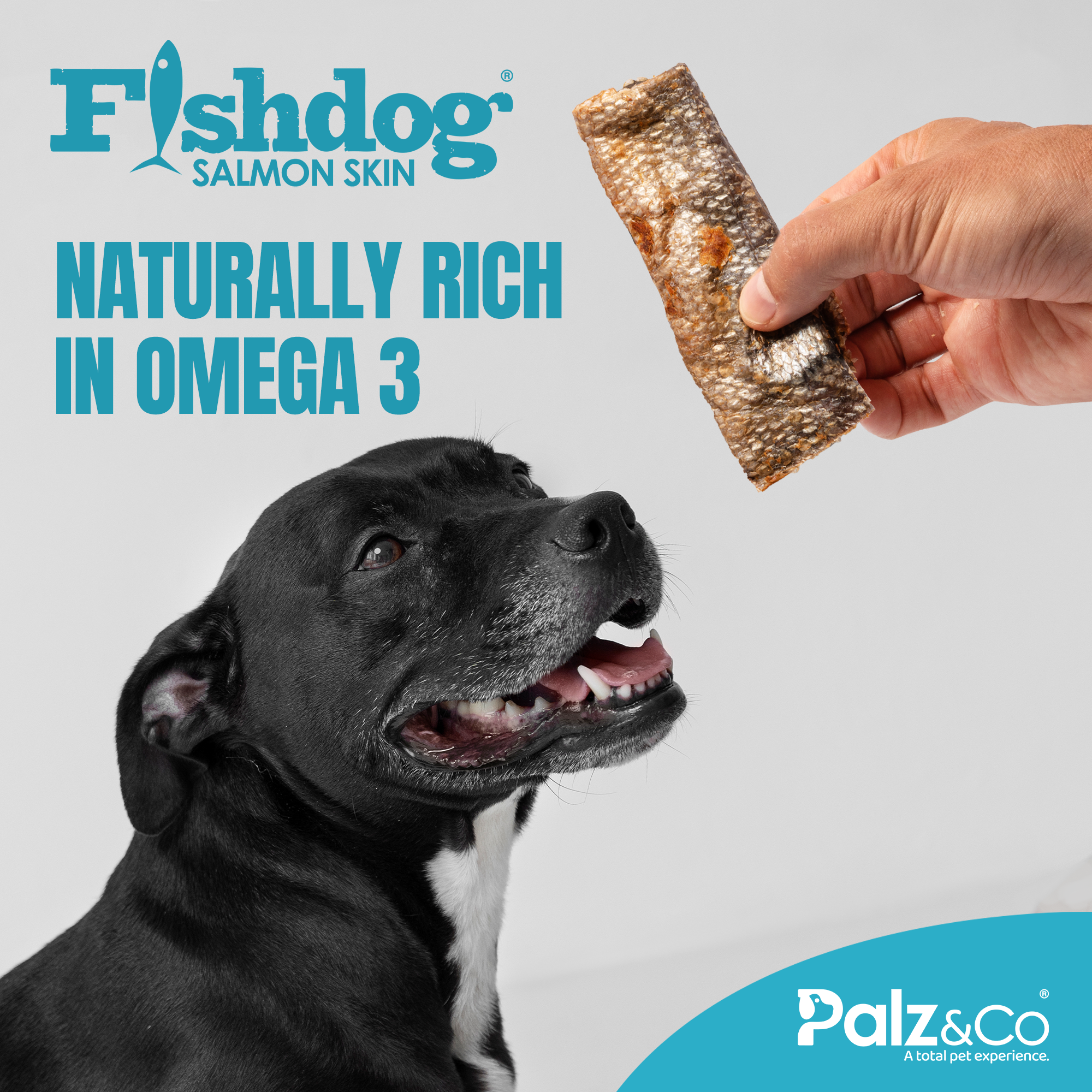 Fishdog Salmon Skin - 2.5 oz (70g) Secondary image