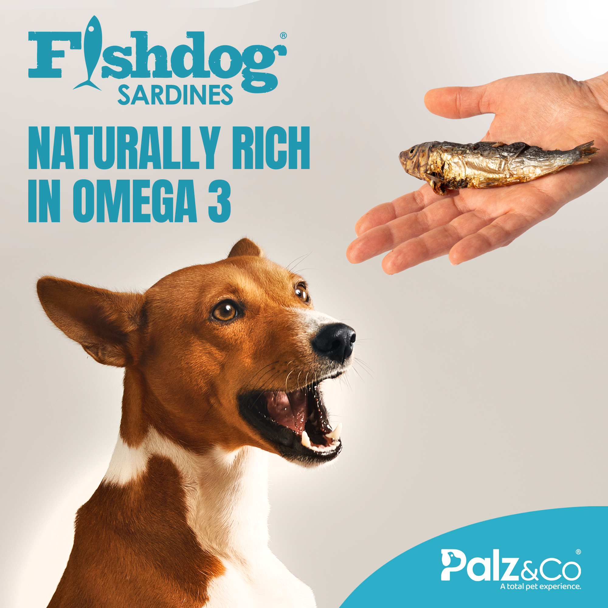 Fishdog Sardines - 2.5 oz (70g) Secondary image
