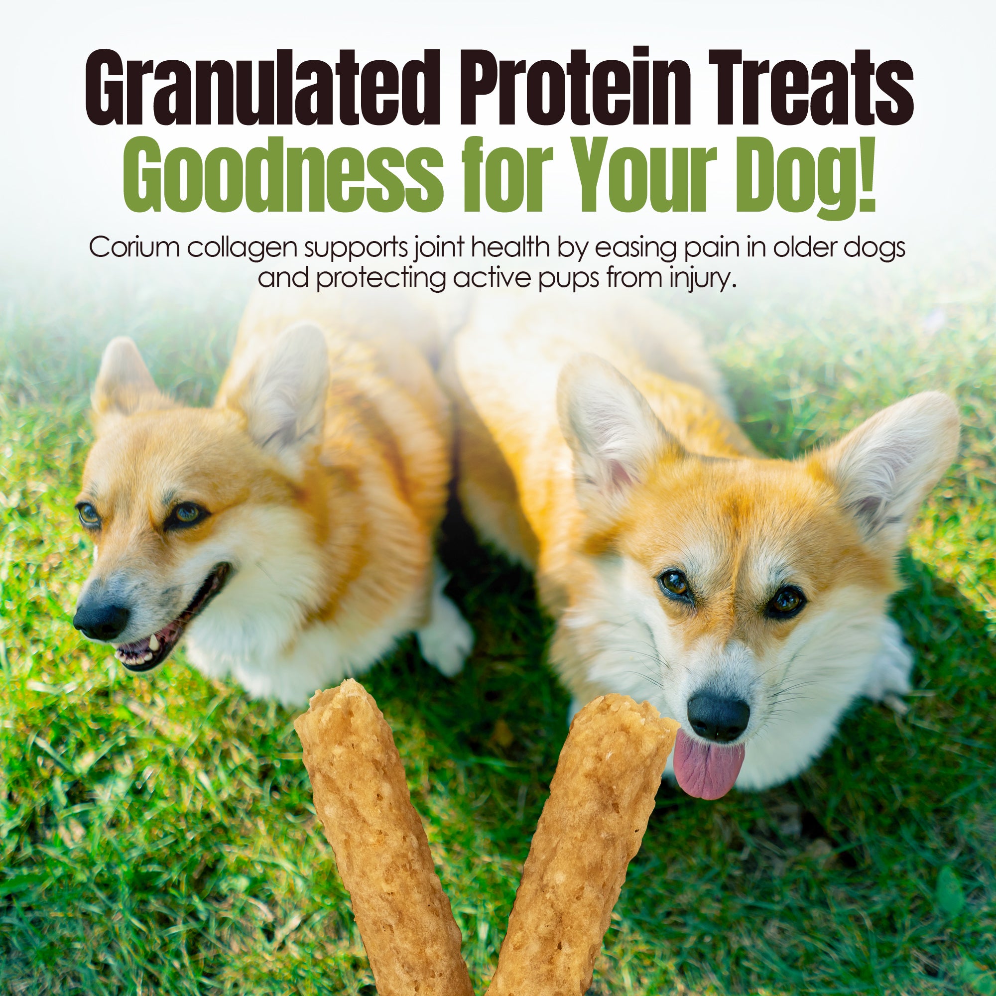 Moodog Easy-Chew Corium Collagen Dog Treat 7" & 10" (Beef Flavor Roll)