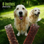 Moodog Flat Beef Gullet 8" - Pack of 5
