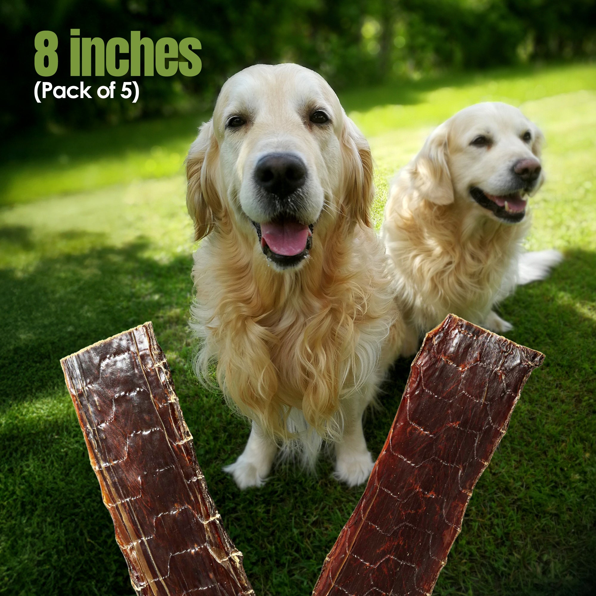 Moodog Flat Beef Gullet 8" - Pack of 5