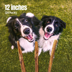 Moodog Beef Standard Bully Sticks 6" & 12" - Pack of 25