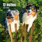 Moodog Beef Thick Bully Sticks 6" & 12" - Pack of 25
