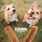 Moodog Beef Trachea Flat 6x2" - Pack of 4