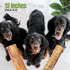 Moodog Beef Trachea Tubes - Pack of 2
