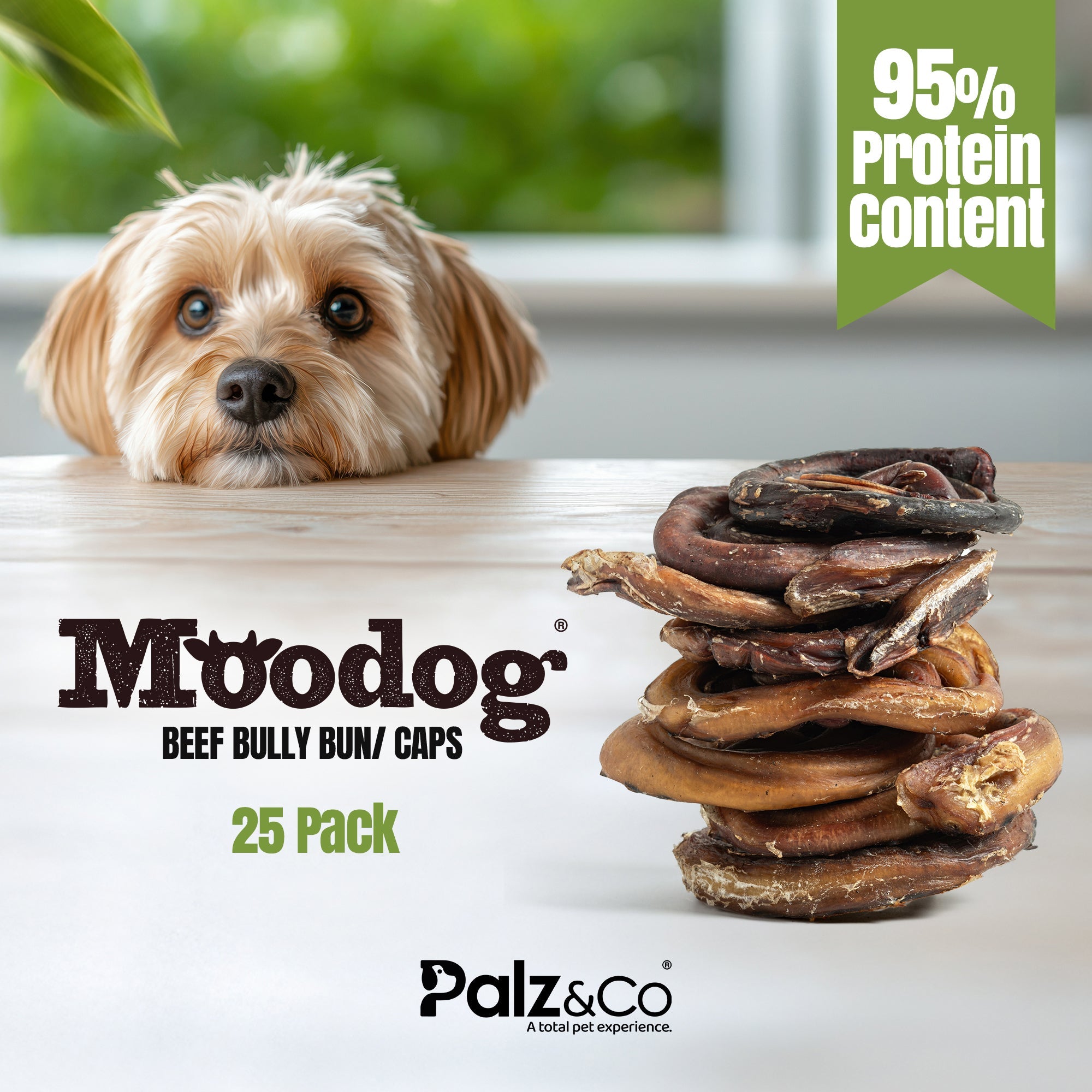 Dog food product with a dog looking at it, featuring Moodog and Palz&Co branding.
