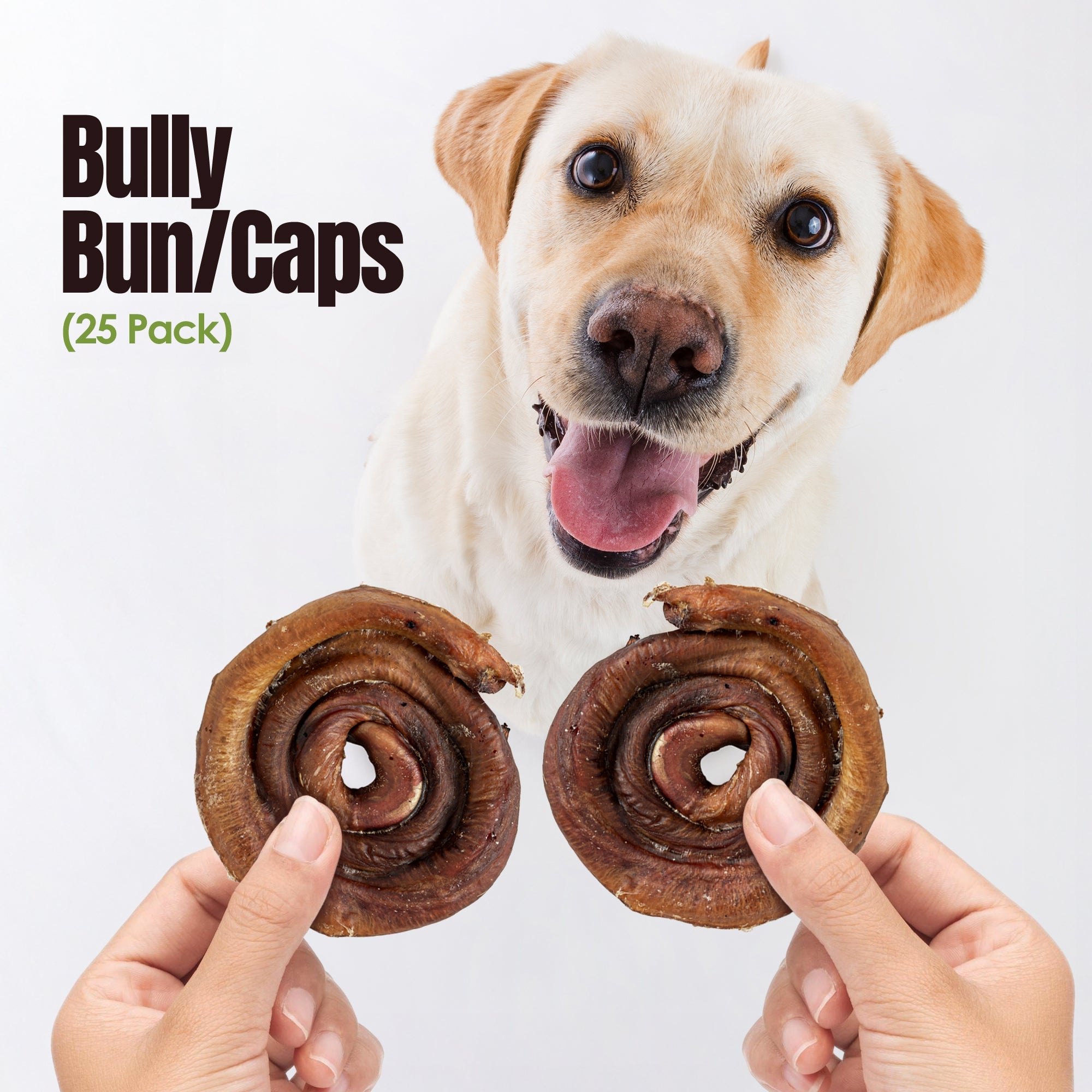 Dog holding two bully buns with text 'Bully Bun/Caps (25 Pack)' on a white background