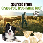 Moodog Beef Jumbo Cow Ears - Pack of 40