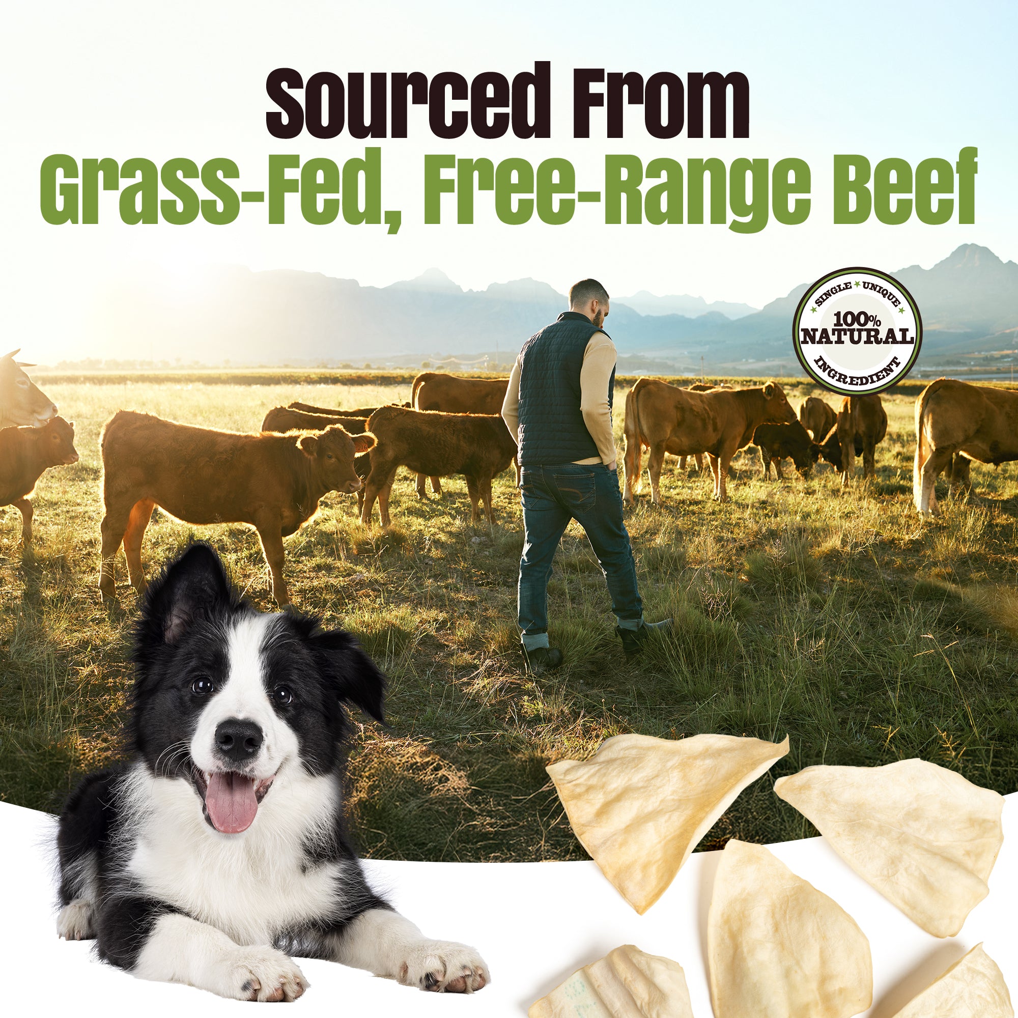 Moodog Beef Jumbo Cow Ears - Pack of 40