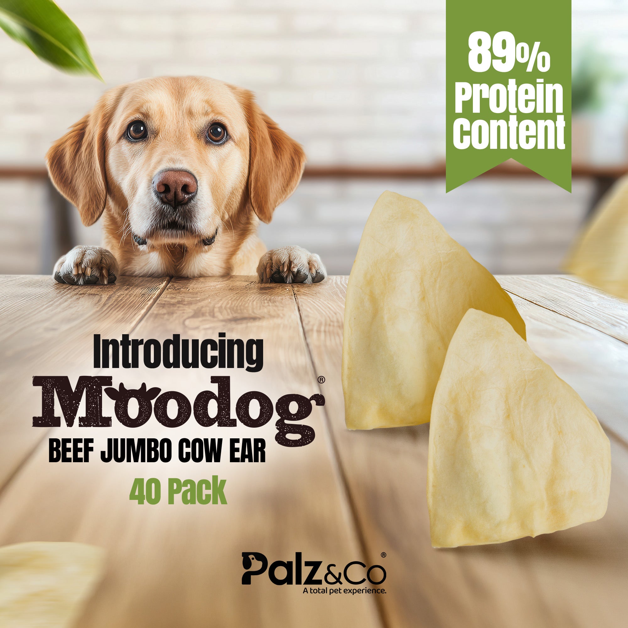 Moodog Beef Jumbo Cow Ears - Pack of 40 Secondary image