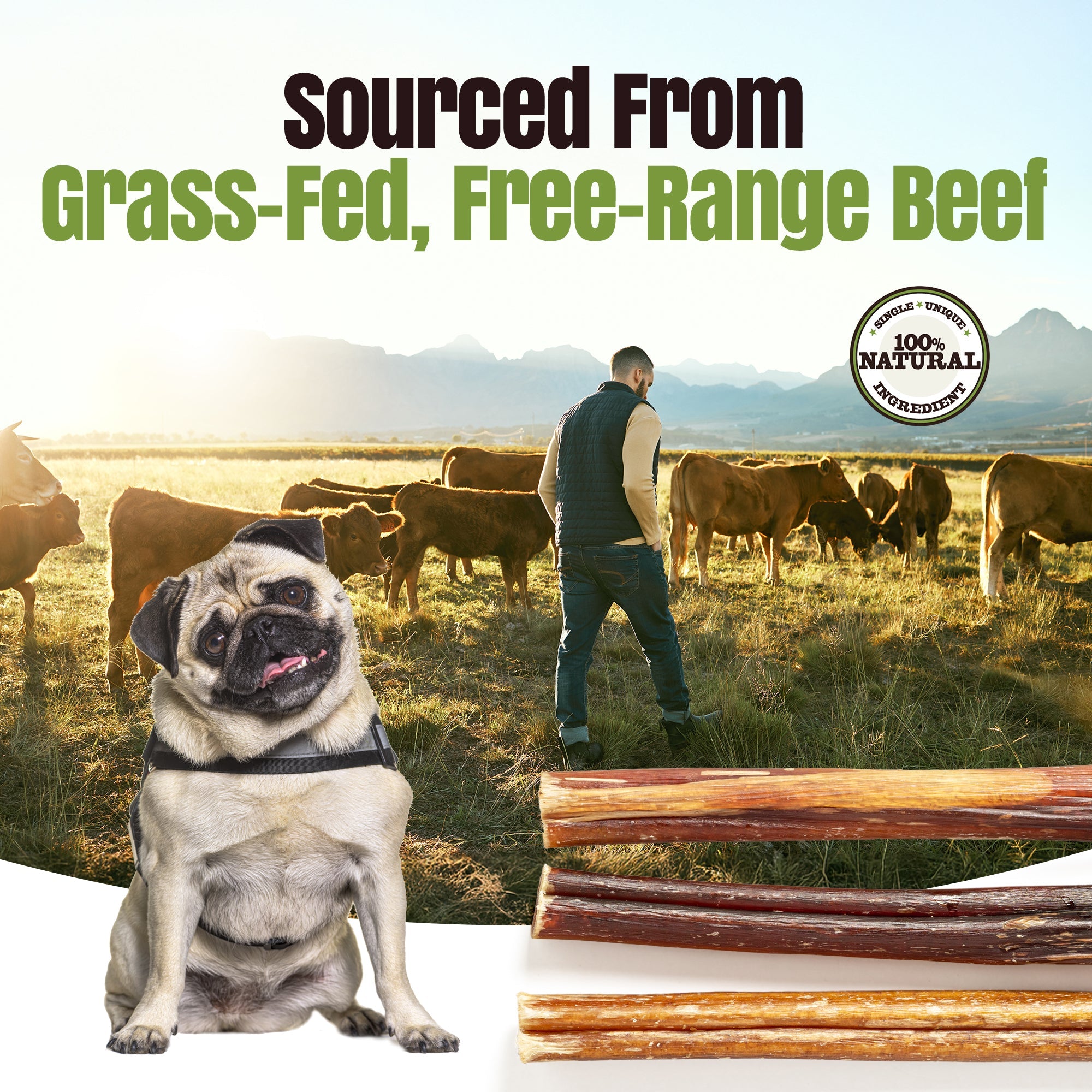 Man with a dog in a field with cows, text 'Sourced From Grass-Fed, Free-Range Beef', and a logo.