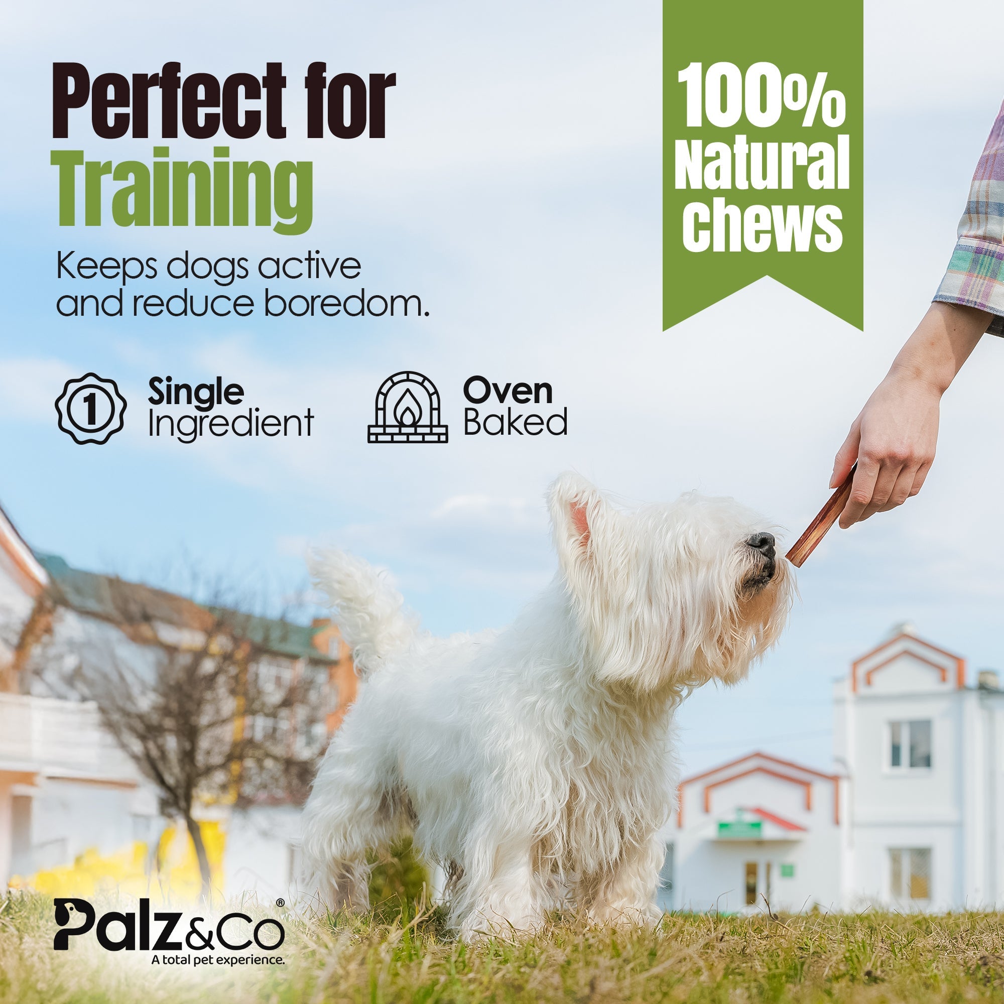 Dog being fed a treat with text about natural chews and training, featuring the brand Palz&Co.
