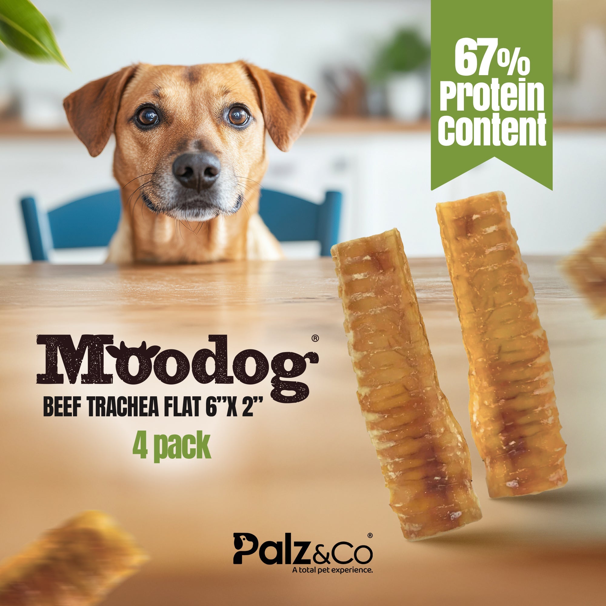 Moodog Beef Trachea Flat 6x2" - Pack of 4 Secondary image