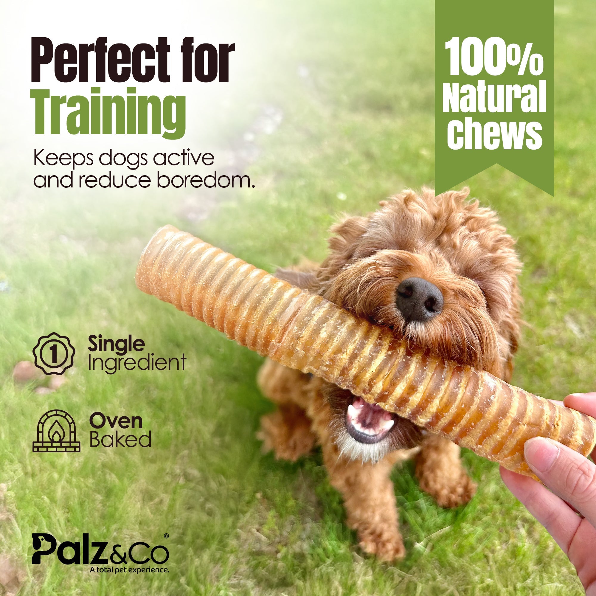 Moodog Beef Trachea Tubes - Pack of 2