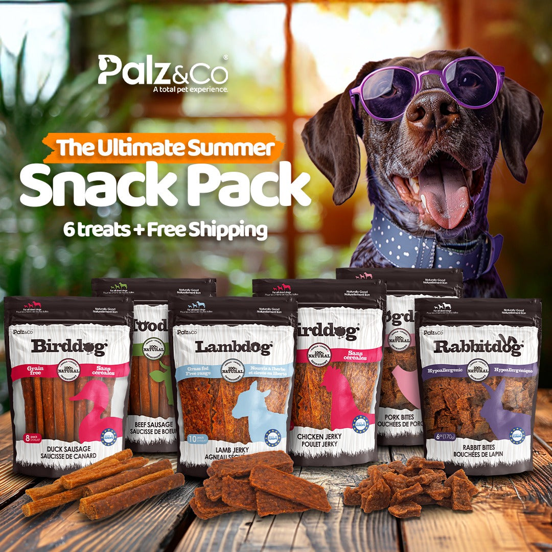Protein Snack Pack - 6 Treat Bundle Secondary image