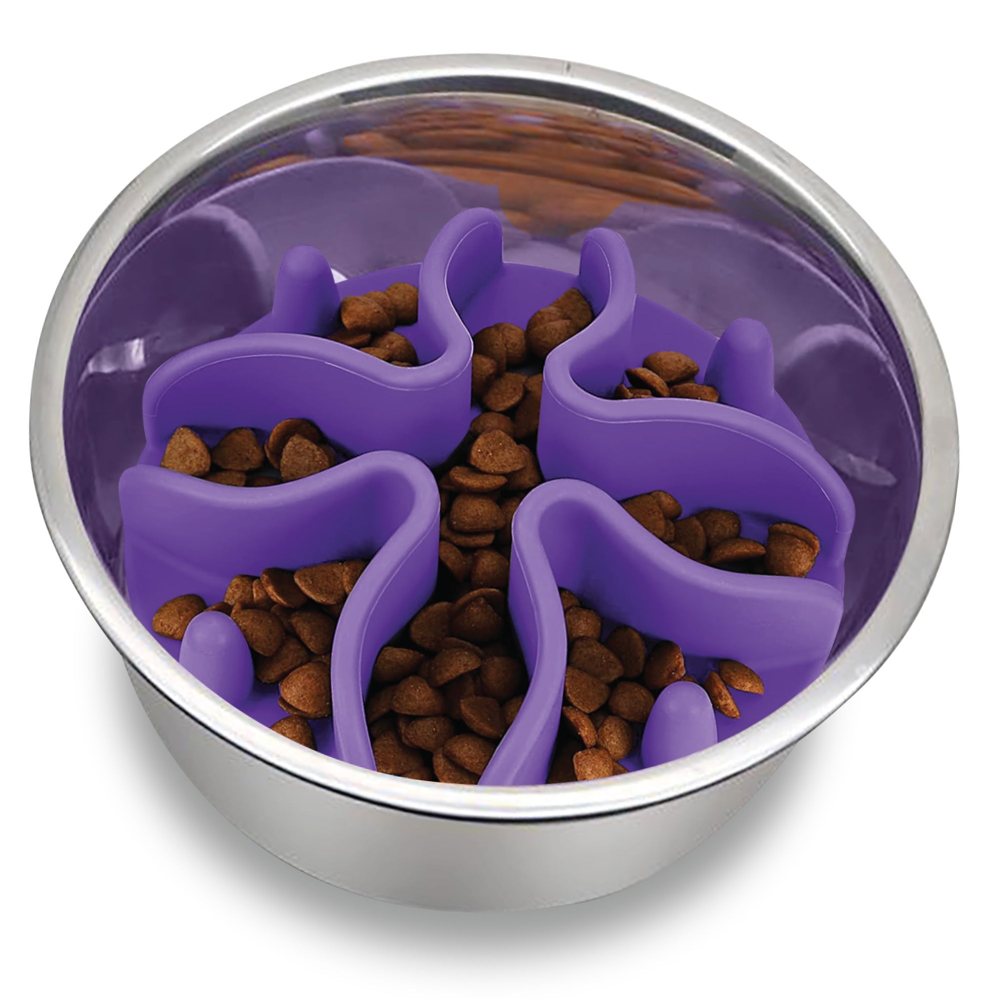 dog puzzle feeders