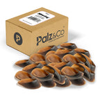 Palz & Co dog toys with packaging on a white background