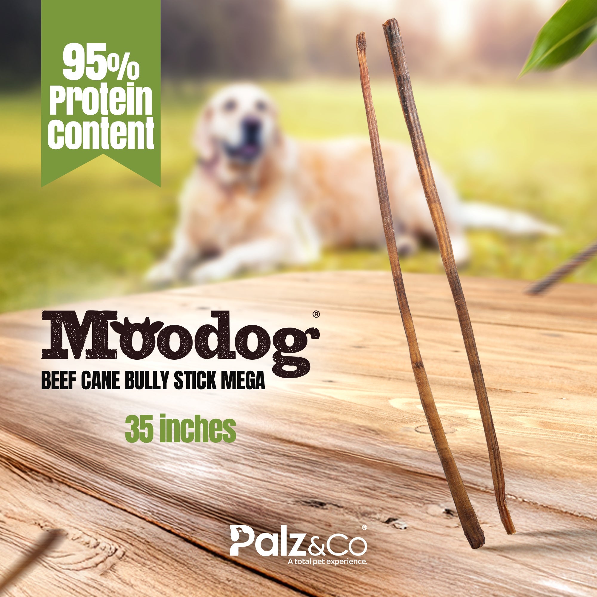 bully sticks
