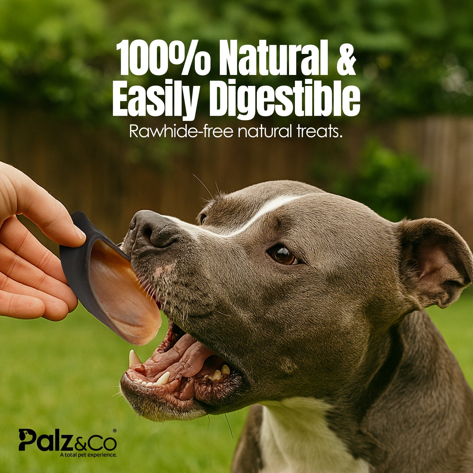 Dog taking a treat from a hand with text about natural and easily digestible treats, set against a green outdoor background.