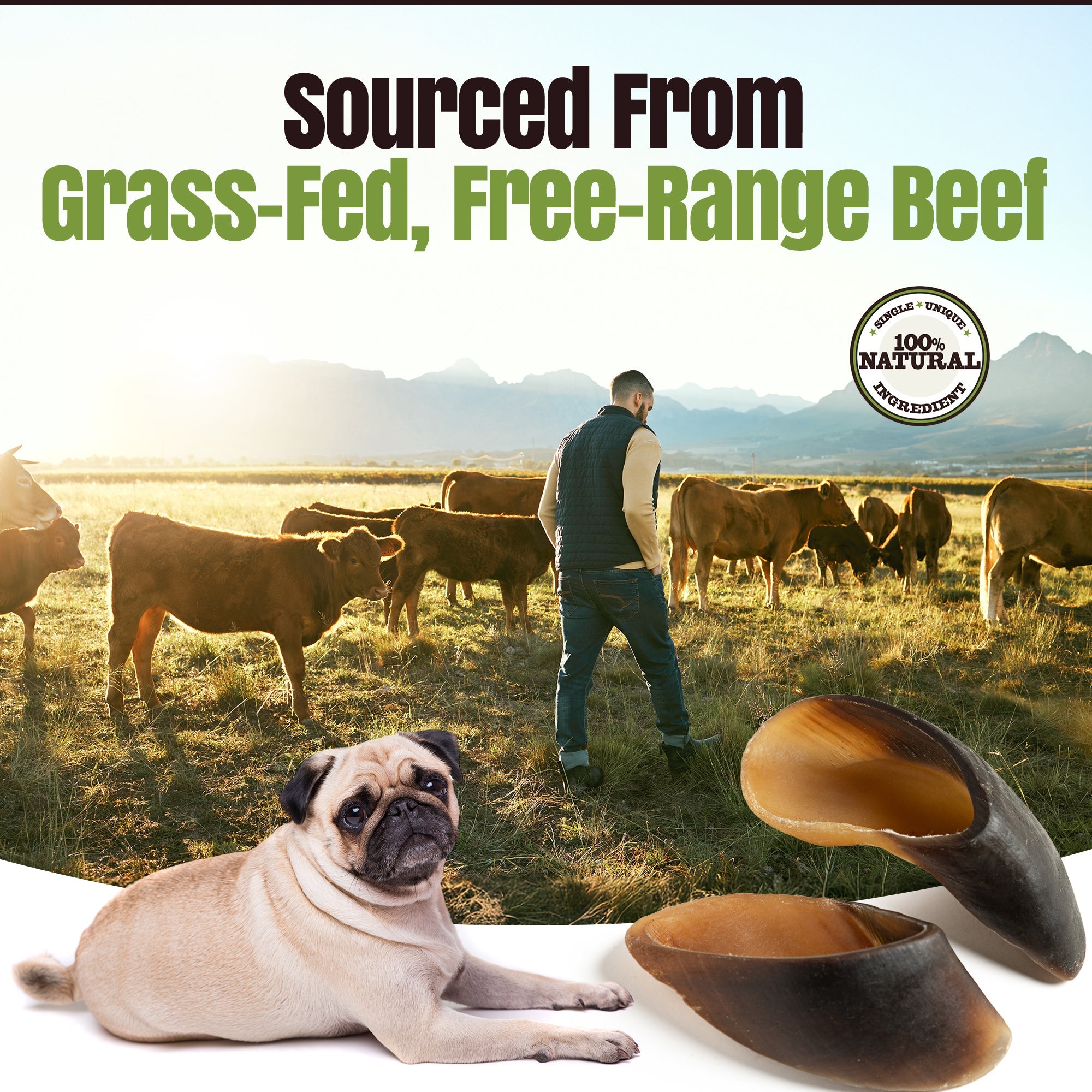 Man tending to cows in a field with a pug and wooden shoes in the foreground, labeled 'Sourced From Grass-Fed, Free-Range Beef'.