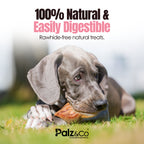 Dog chewing on a treat with text about natural and easily digestible treats, and the brand 'Palz & Co'.