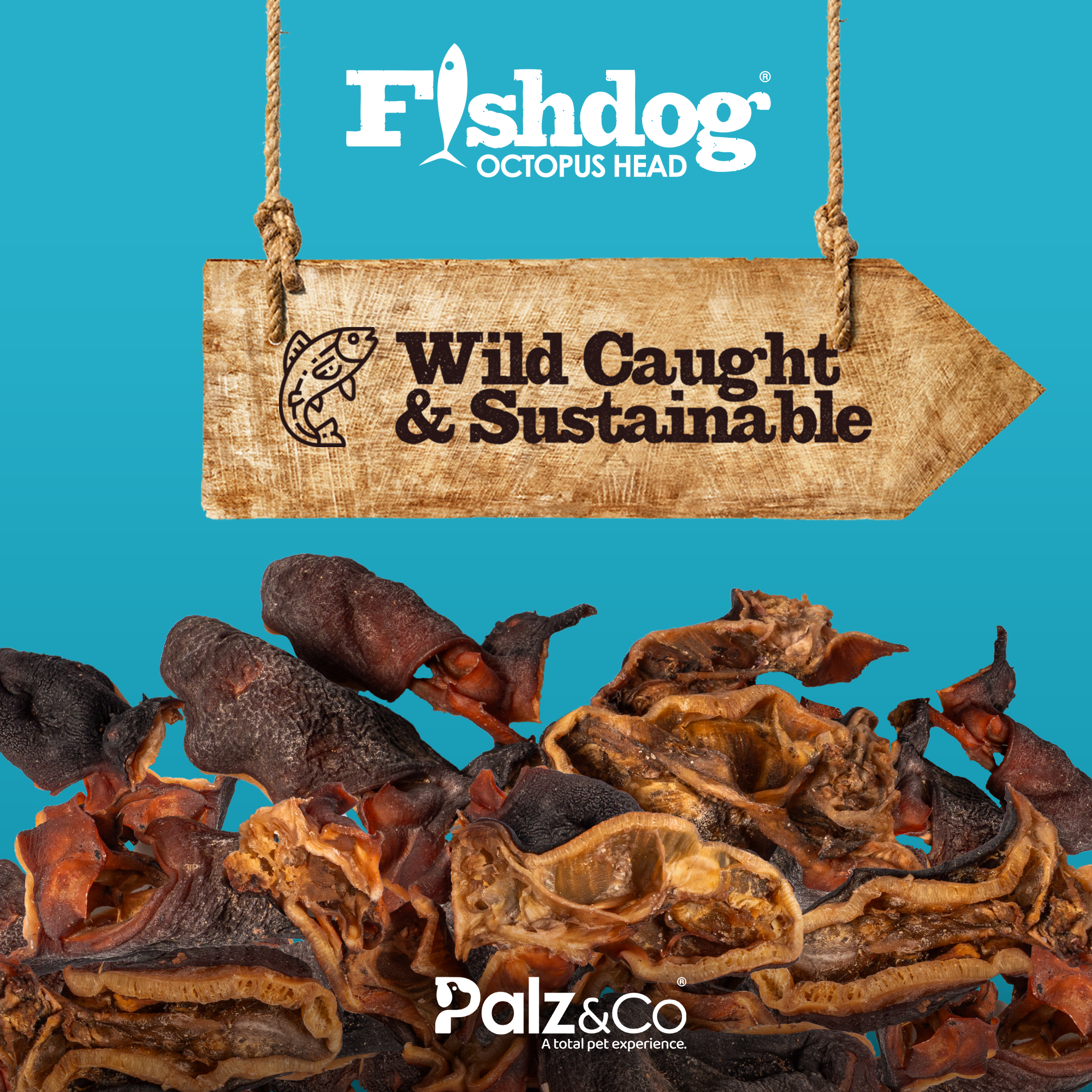 Fishdog Octopus Head - 3.5 oz (100g)