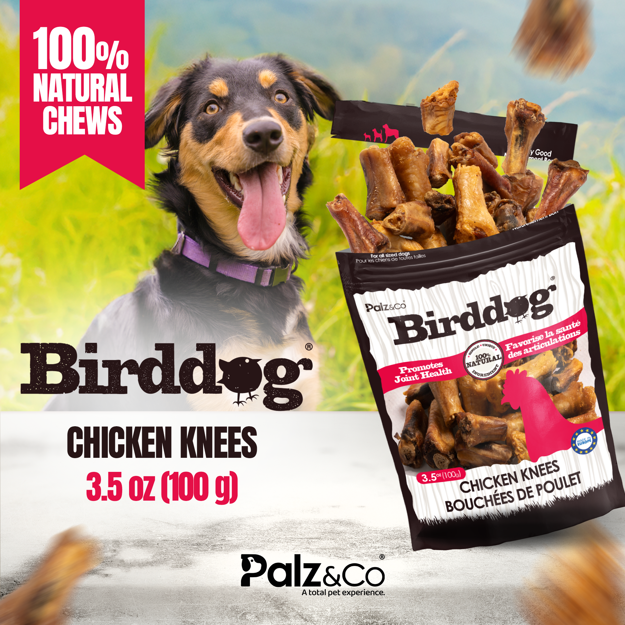 Birddog Chicken Knees - 3.5 oz (100g) Secondary image