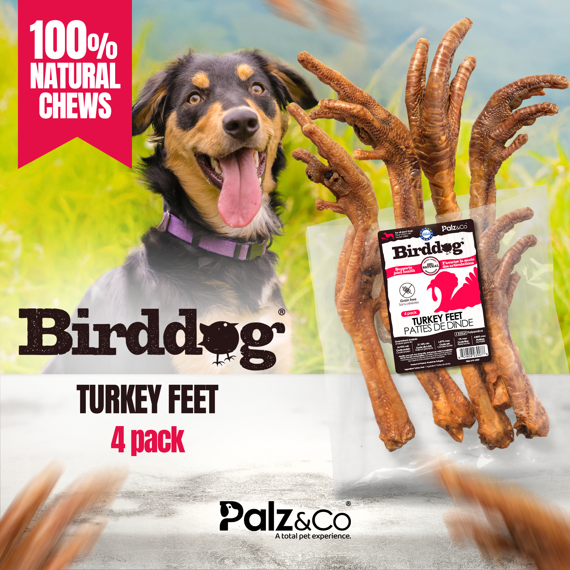 Birddog Turkey Feet - Pack of 4 Secondary image