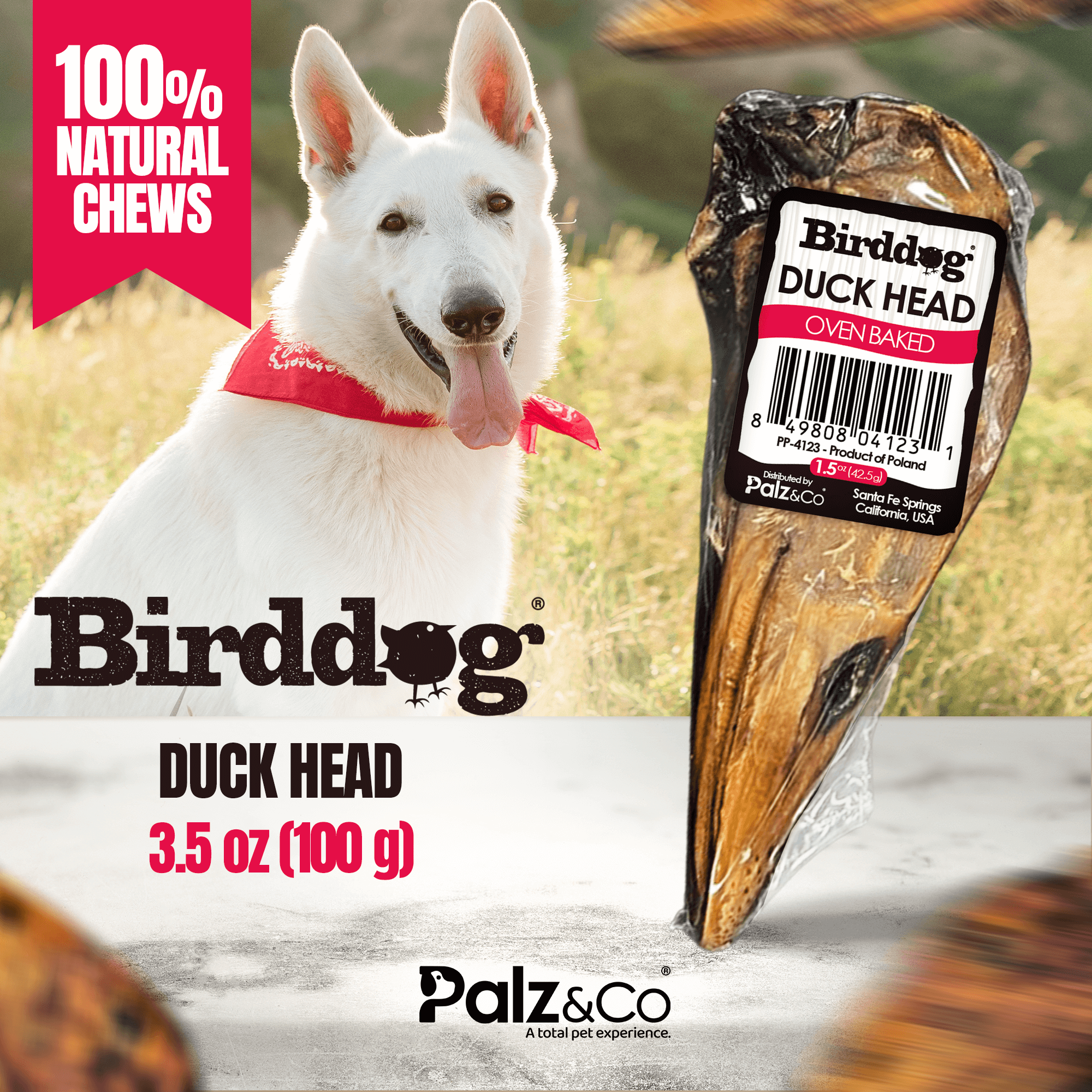 Birddog Duck Head - Pack of 20 Secondary image