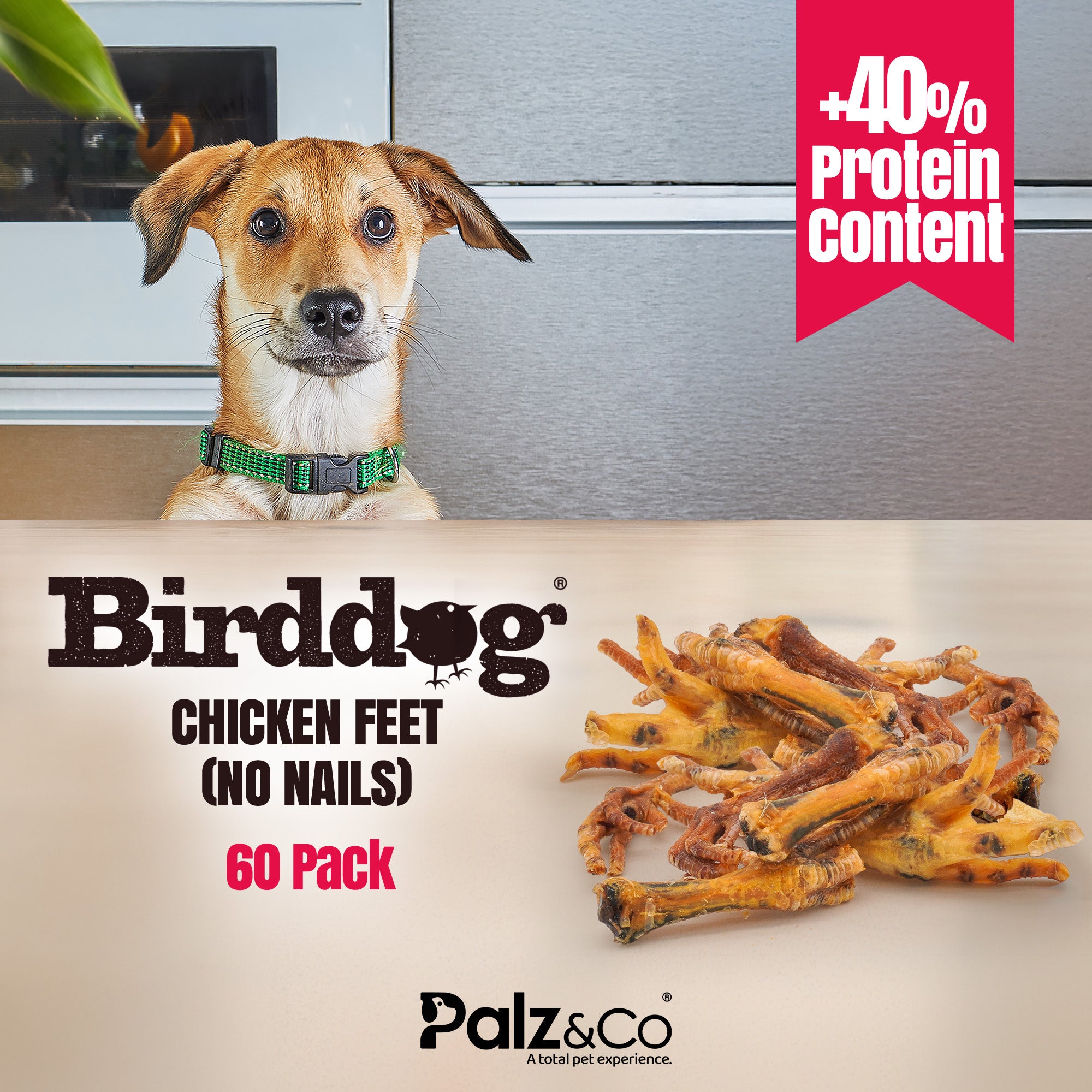 Dog with chicken feet treats and promotional text for Birddog Chicken Feet on a neutral background