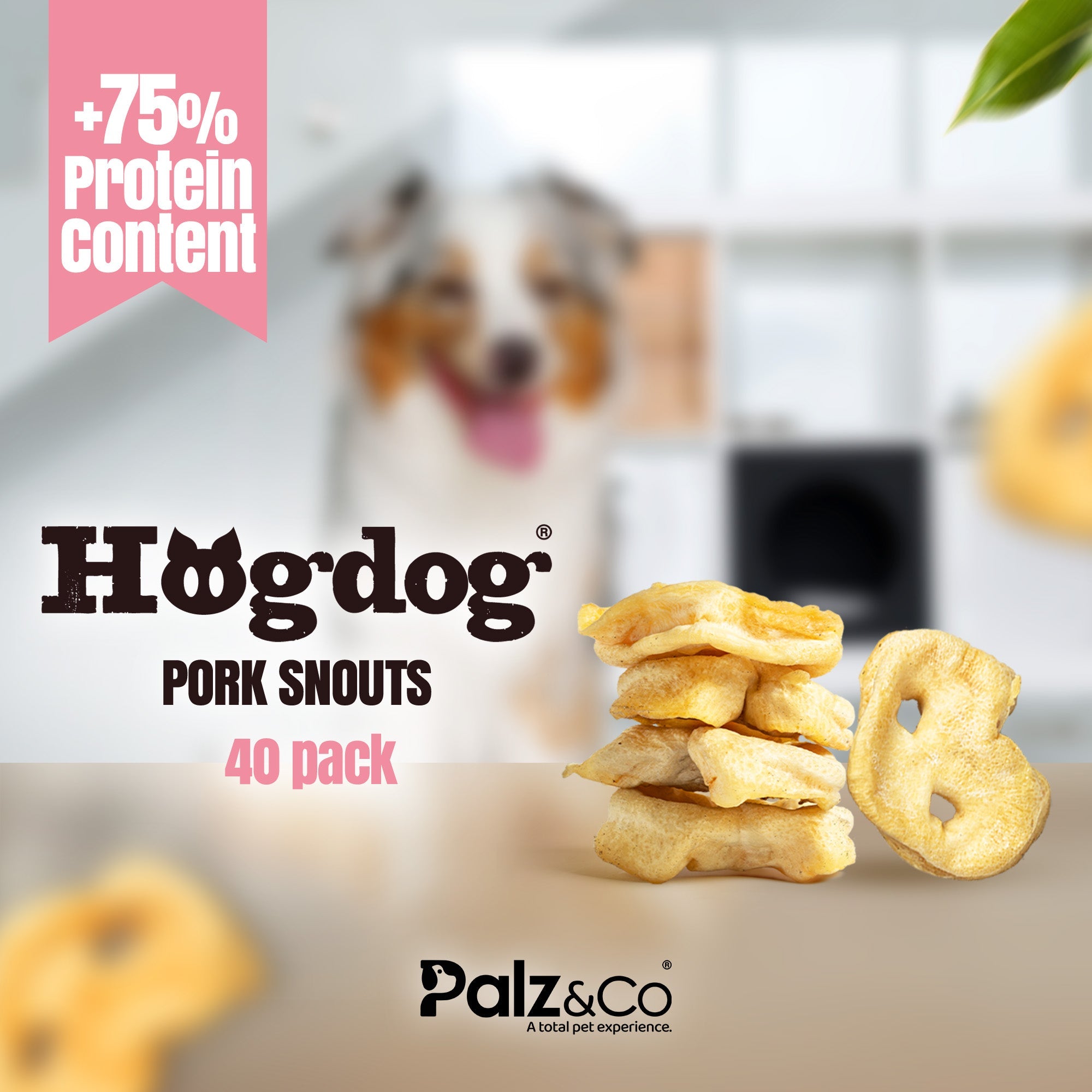 Hogdog Pig Nose Snouts - Pack of 40 Secondary image