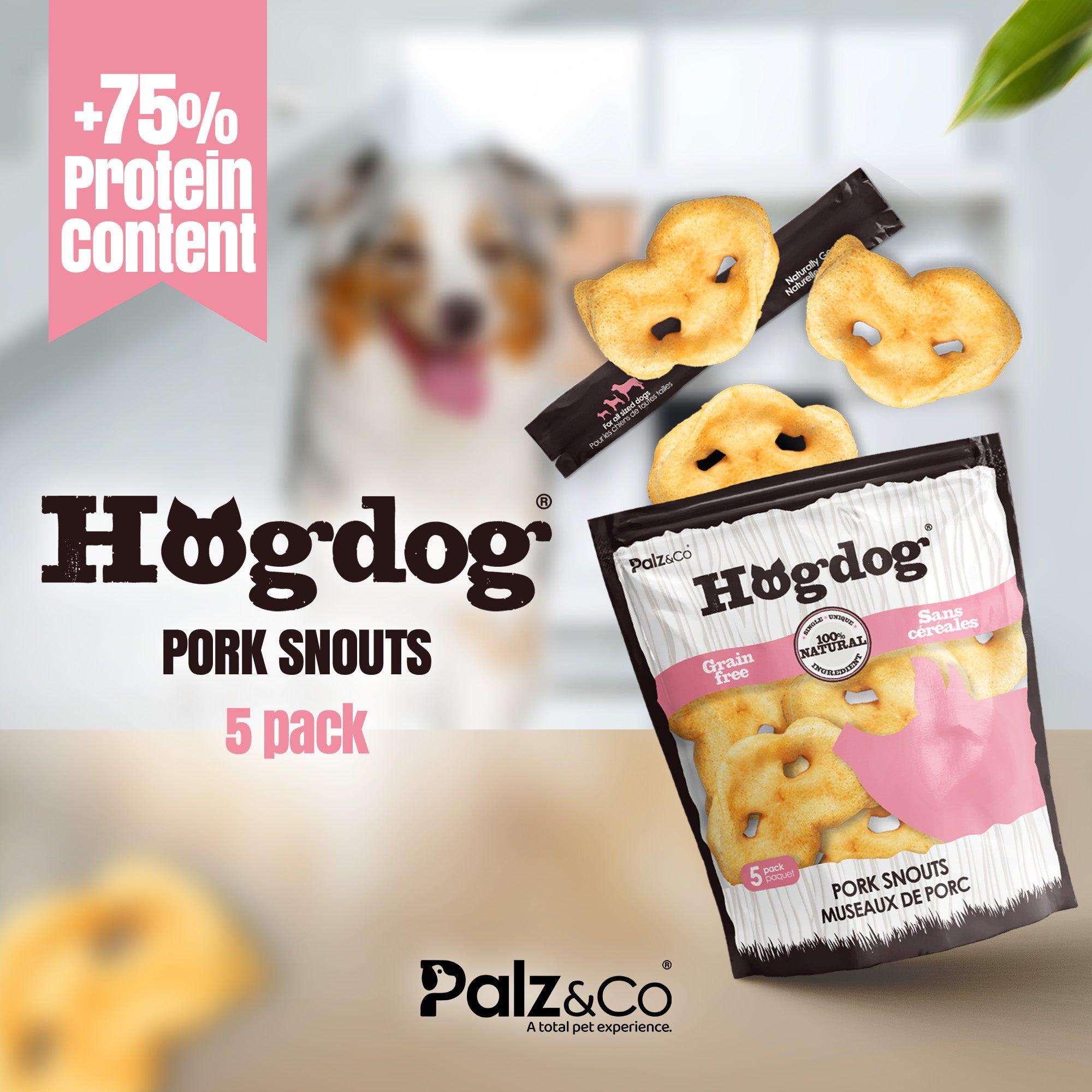 Hogdog Pork Snouts - Pack of 5 Secondary image
